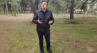 CHP'li Gaytancıoğlu, ayçiçek ithalatında gümrük vergisinin düşürülmesini eleştirdi