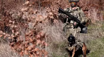 TSK'nın eğitimli köpekleri özel yöntemlerle eğitiliyor