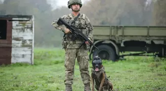 TSK Köpekleri Bursa'da Gerçeğini Aratmayan Tatbikatlar Yapıyor