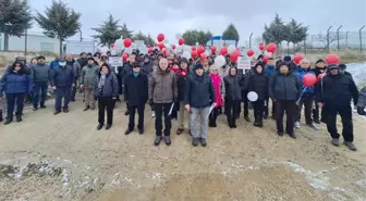 Kooperatif skandalı 20 yıldır sürüyor, 3 bin kişi mağdur