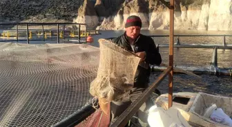 Yozgat'ta barajda alabalık üretimi arttı