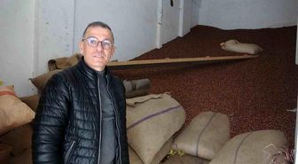 Giresun'da Fındık Fiyatı Düşüşe Geçti