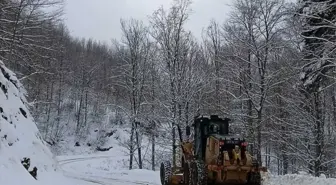 Osmangazi Belediyesi Kar Küreme ve Tuzlama Çalışmalarını Sürdürüyor