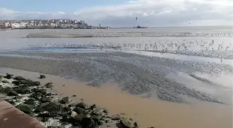 Silivri'de Sağanak Yağış Sonucu Villa Bahçeleri ve Yürüyüş Yolları Sular Altında Kaldı