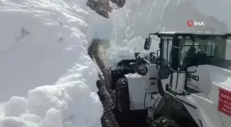 Yüksekova'da kardan 8 metrelik tüneller açıldı