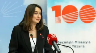 Aysu Bankoğlu kimdir? CHP'li Aysu Bankoğlu kaç yaşında ve nereli? Aysu Bankoğlu'nun biyografisi!