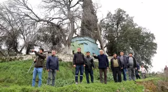 Koçarlı Belediyesi Şenköy Mahallesi Mezarlık Sorununu Çözüyor