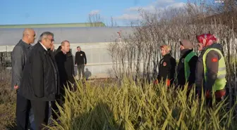 Bilecik Belediye Başkanı Park ve Bahçeler Müdürlüğü Sera Alanını Ziyaret Etti