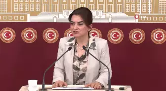 DEM Grup Başkanvekili Koçyiğit: Başak Demirtaş, en güçlü adaylarımızdan biridir