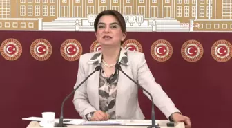 DEM Parti Grup Başkanvekili Gülistan Kılıç Koçyiğit: 'Geçmişte darbeler postallarla oluyordu, bugün cübbelerle oluyor'