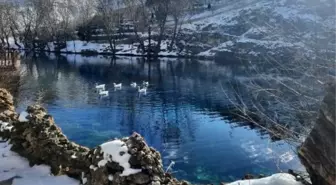 Gürün'deki Gökpınar Gölü'nde Eksi 7 Derecede İrtifa Dalışı Yapıldı