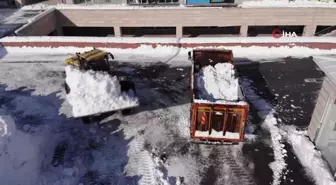 Bitlis'te kamyonlarla kar taşınıyor