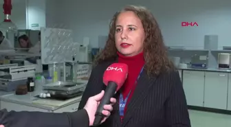 İstanbul Boğazı'ndaki Midyelerin Yüzde 73'ünde Mikroplastik Tespit Edildi