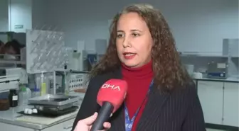 İstanbul Boğazı'ndaki Midyelerin Yüzde 73'ünde Mikroplastik Tespit Edildi