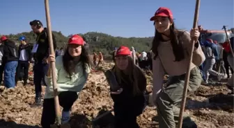 İTÜ ve YK Enerji iş birliğiyle Muğla'da 2 bin fidan dikildi