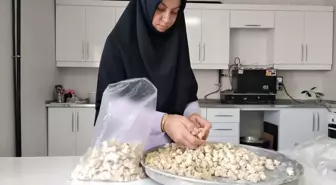 Muş'ta Açılan Aşçılık Kursunda Kadınlar Meslek Öğreniyor