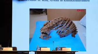 Selçuklu sultanlarının DNA analizi sonuçları açıklandı