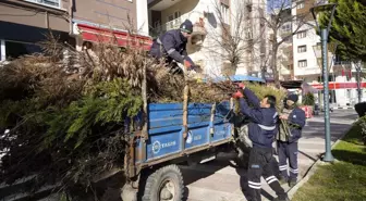 Yunusemre Belediyesi, Budanan Ağaçlardan Elde Edilen Odunları İhtiyaç Sahiplerine Dağıtıyor