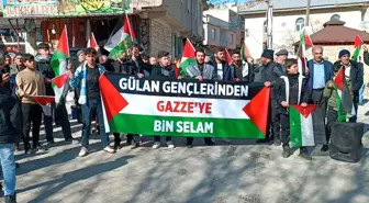 Diyarbakır'da Filistin'e Destek Açıklaması