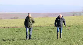 Edirne Tarım ve Orman Müdürü hububat ekili arazileri inceledi