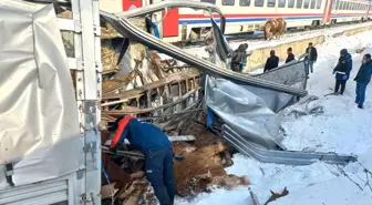 Muş'ta tren TIR'a çarptı: Ölü ve yaralılar var