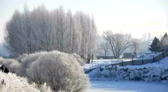 Kars'ta Soğuk Hava Etkisiyle Ağaçlar Kırağı Tutarak Beyaza Büründü