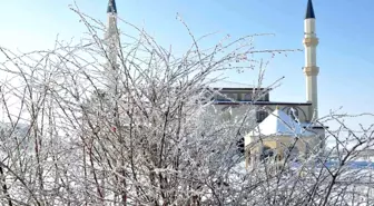 Kars'ta Eksi 23 Derece Soğuk: Ağaçlar Kırağı Tuttu, Kars Çayı Buharlaştı