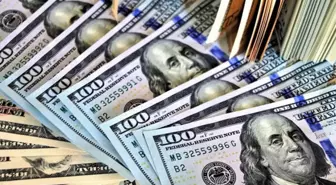 Hafize Gaye Erkan'ın istifası sonrası dolar kurunda hareketlilik