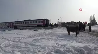Muş'ta hayvan yüklü tıra tren çarptı: 2 ölü, 2 yaralı