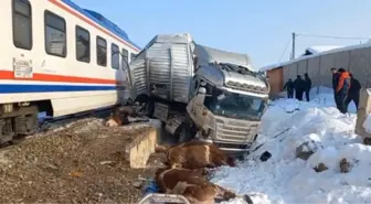Muş'ta Yolcu Treni Boğa Yüklü TIR'a Çarptı: 2 Ölü, 2 Yaralı