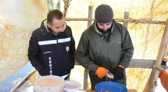 Van'da alabalık tesislerinde yavru üretimi için sağım işlemi yapıldı