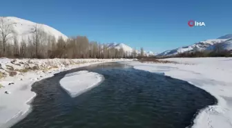 Türkiye'nin en hızlı akan nehri olan Çoruh buz tuttu