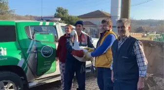 Uzunköprü'de Yorgun Düşen Kuğu Tedavi Altına Alındı