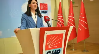 CHP Genel Başkan Yardımcısı Gökçe Gökçen, Erdoğan'ın sözlerini eleştirdi