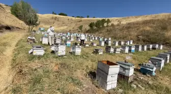 Akaryakıt zamları gezici arıcıları etkiliyor