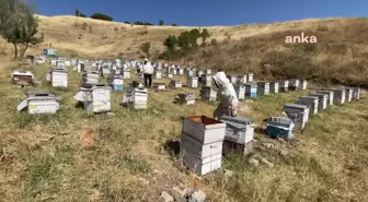 Akaryakıt zamları gezici arıcıları etkiliyor