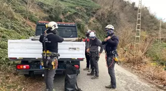 Artvin'de Tehlikeli Kayalar Kontrollü Şekilde Temizleniyor