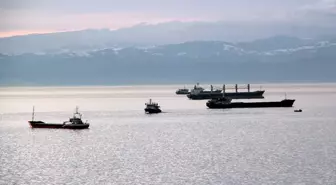 Karadeniz'de Fırtına Uyarısı: Yük Gemileri Sinop Limanına Demirledi