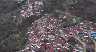 TOKAT'ın Günebakan köyünde meydana gelen heyelanlar sonucu köy ikiye ayrıldı