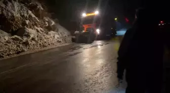 Van'ın Gevaş ilçesinde çığ düştü, ulaşım kısa süreli aksadı