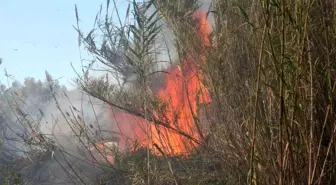 Antalya'da Kargılık Alanında Çıkan Yangın Kontrol Altına Alındı