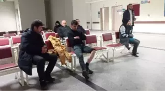 Sokak köpeğinin saldırısına uğrayan genç hastaneye kaldırıldı