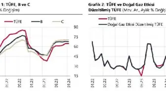 TCMB: Yıllık enflasyon temel mal ve enerjide yükselirken diğer gruplarda geriledi