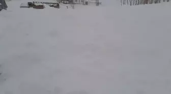 Van'ın Özalp ilçesinde çığ düşen evde hasar oluştu