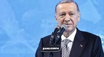 AK Parti Şanlıurfa ilçe belediye başkan adayları kimler oldu?