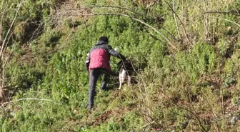 Giresun'un Yağlıdere ilçesinde mahsur kalan köpek kurtarıldı