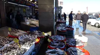 Karadeniz'de Hamsi Bolluğu Son Buldu