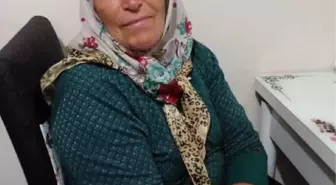 İnekleri sağarken boğanın saldırısına uğrayan kadın hayatını kaybetti