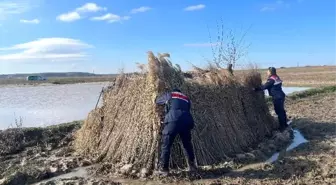 Kırklareli'de jandarma ekiplerince gümeler denetlendi