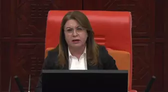 CHP Milletvekili Aysu Bankoğlu, deprem sonrası yaşanan sorunları TBMM'de eleştirdi
